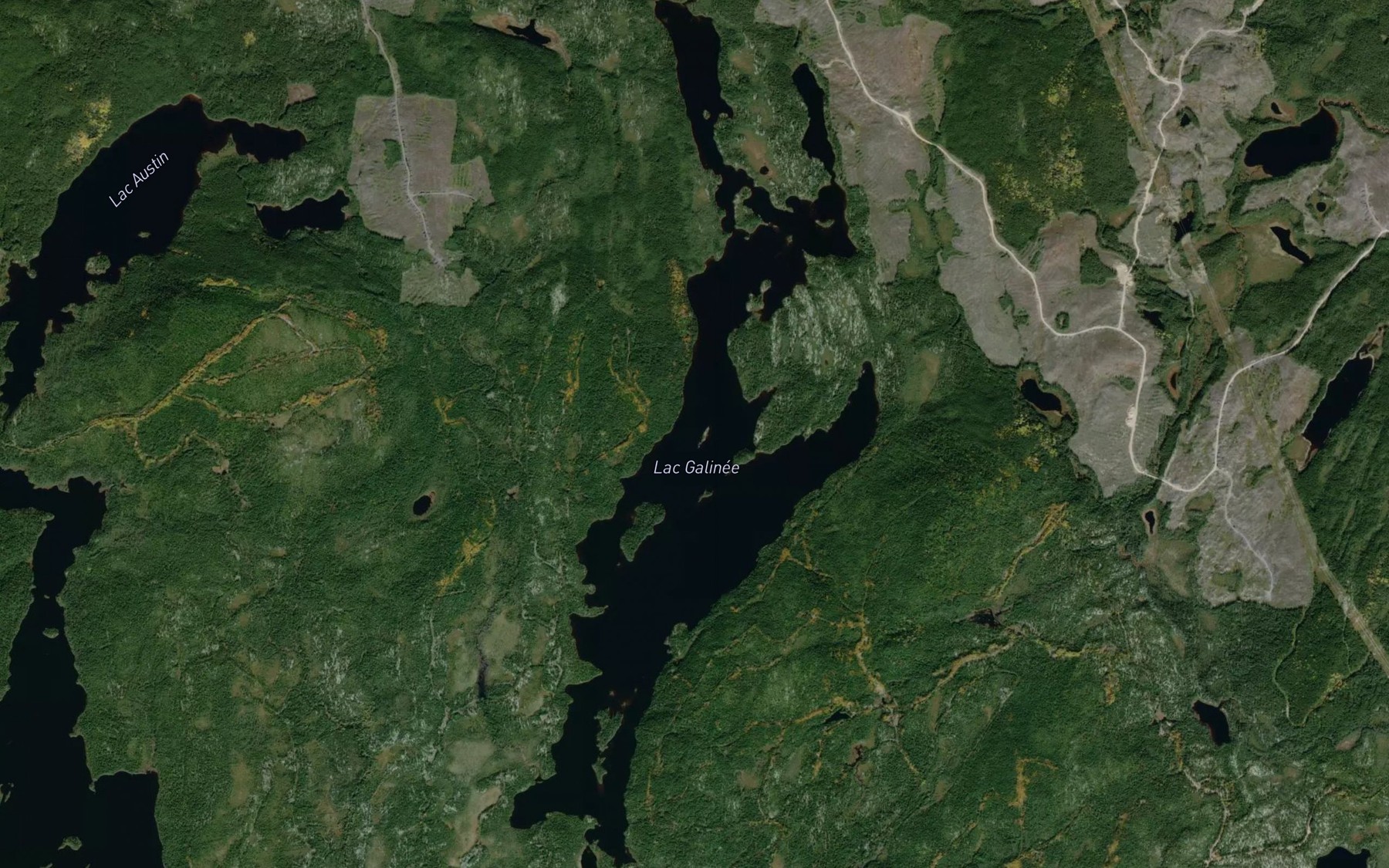 Satellite map of the Lac Galinee