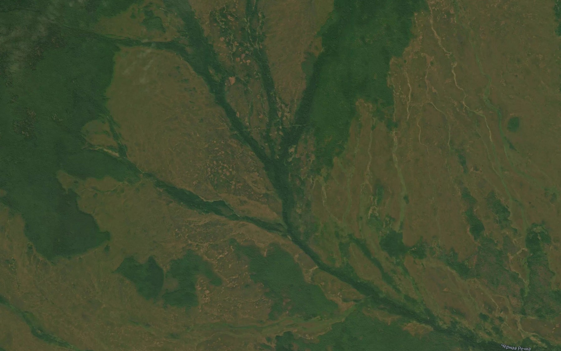 Satellite map of the Pryamoy