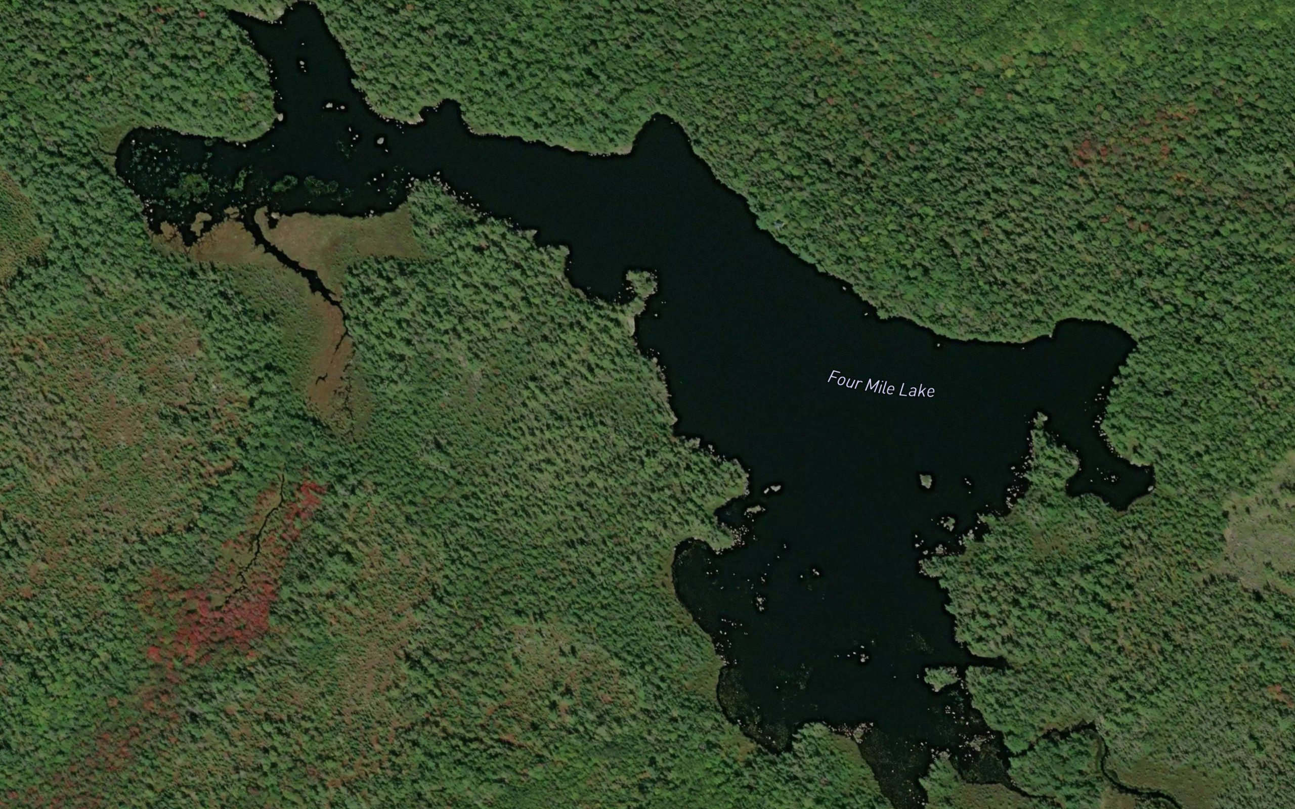 Four Mile Lake