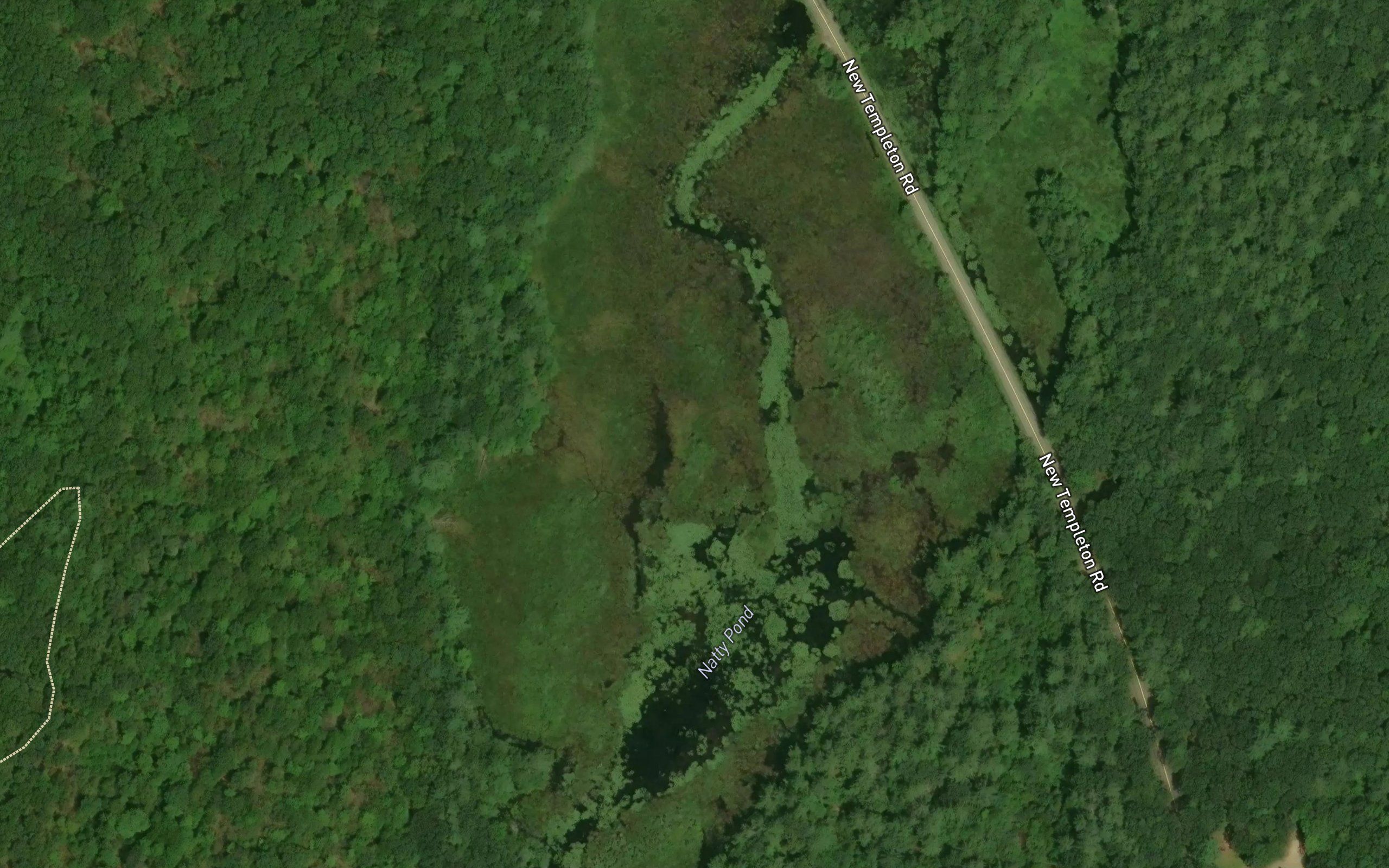Natty Pond