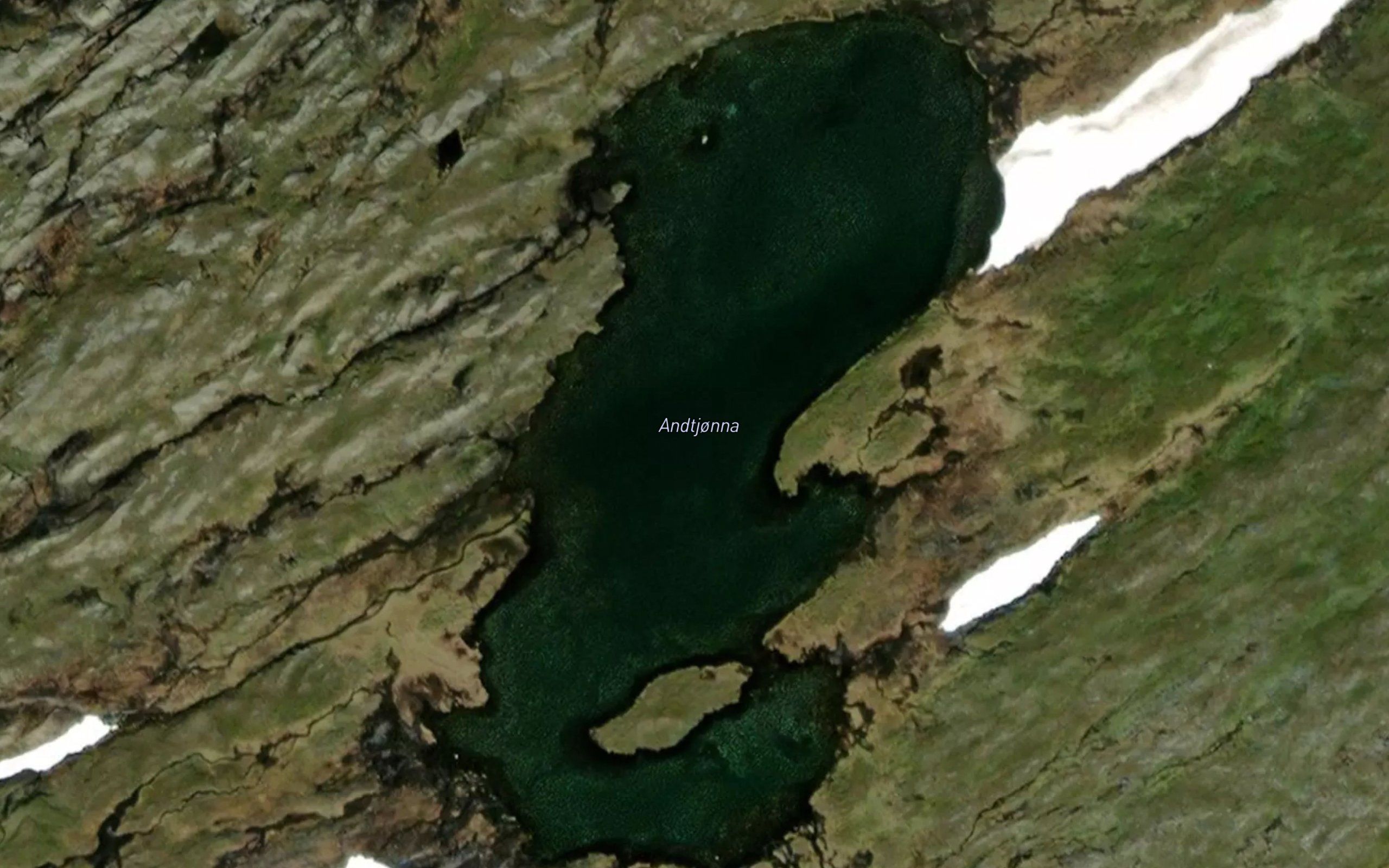 Andtjorna