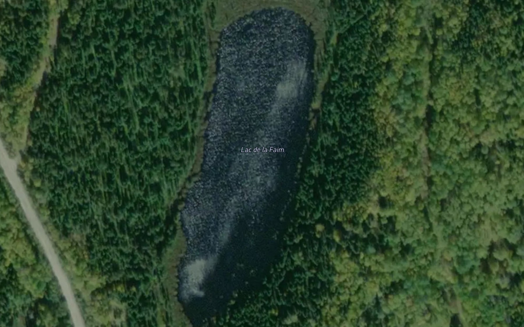 Satellite map of the Lac de la Faim