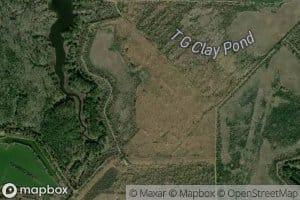 T G Clay Pond Number Three