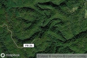 Bearpen Branch