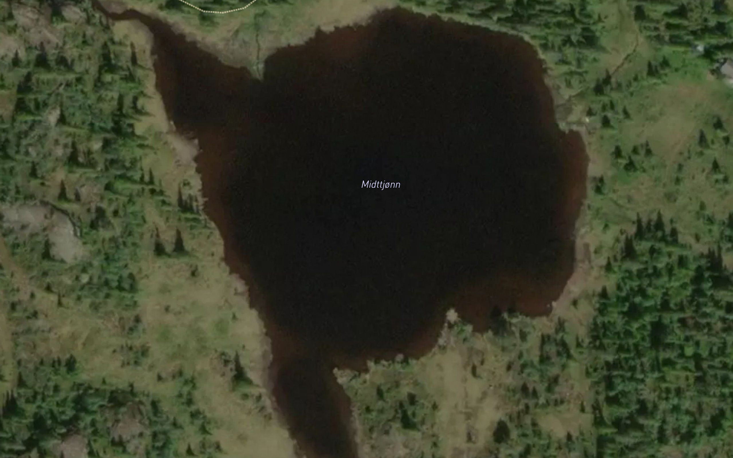 Midttjorn