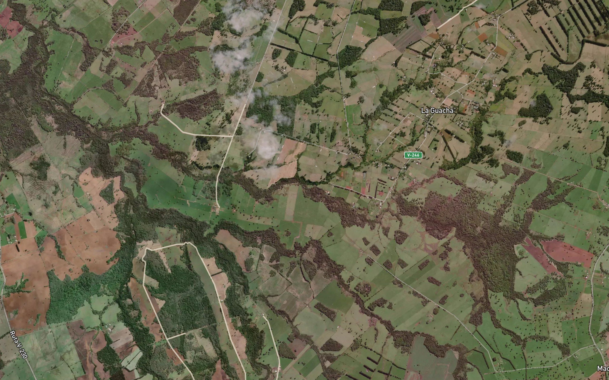 Estero La Ballena