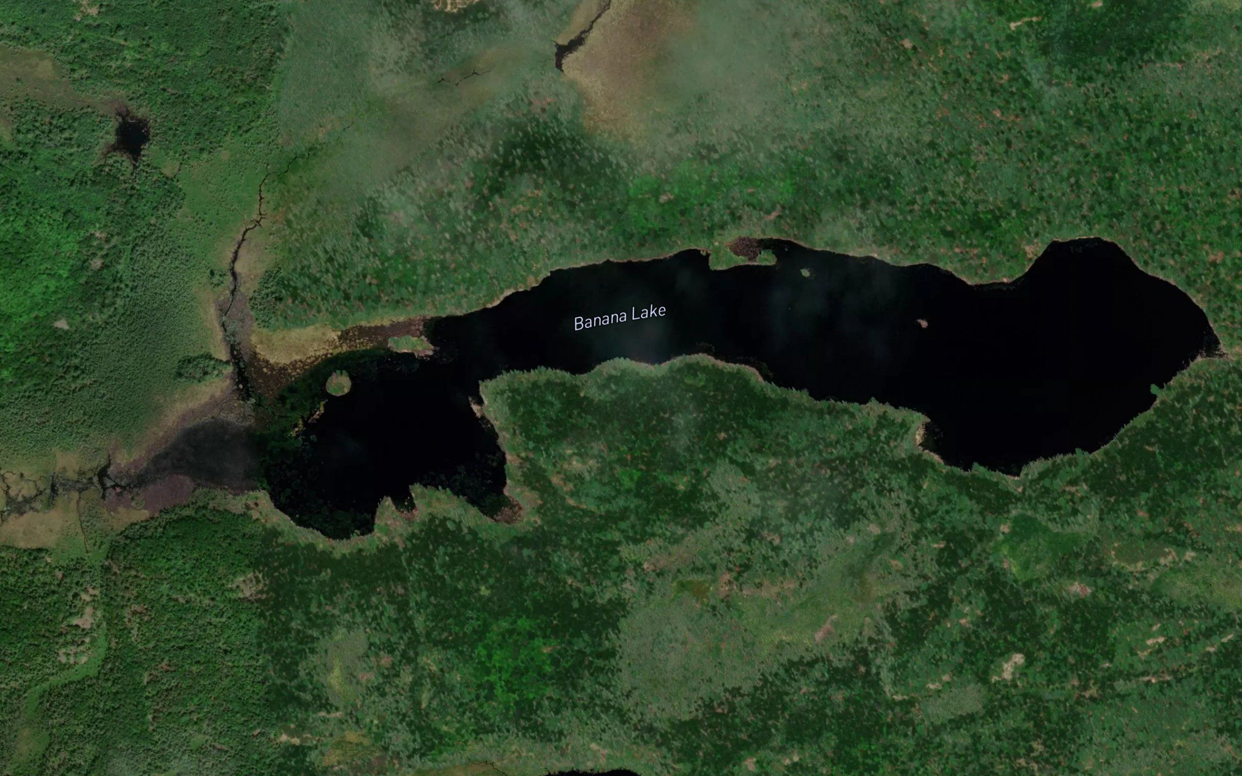 Banana Lake