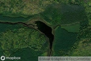Bog Lake