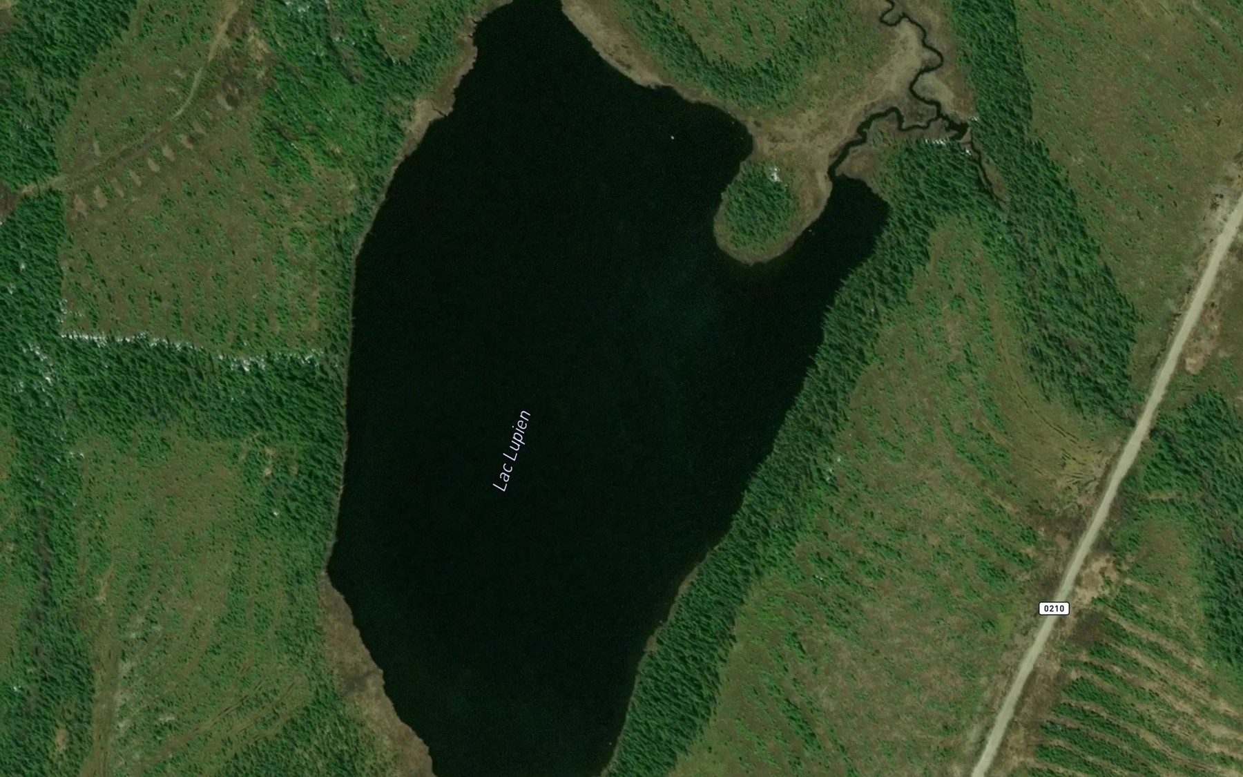 Satellite map of the Lac Lupien