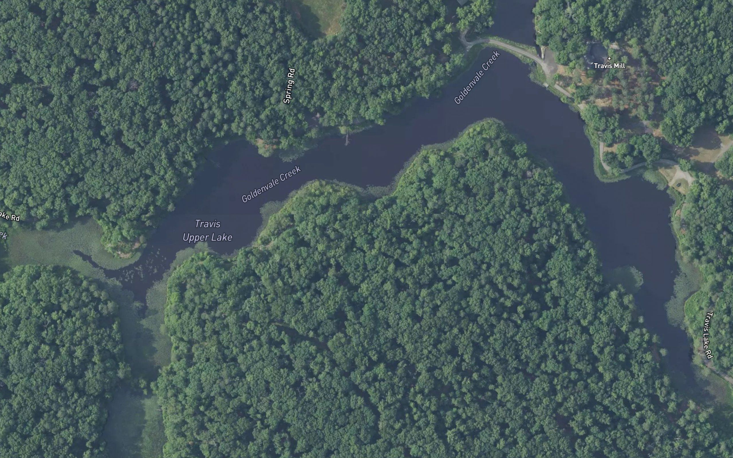 Travis Lake