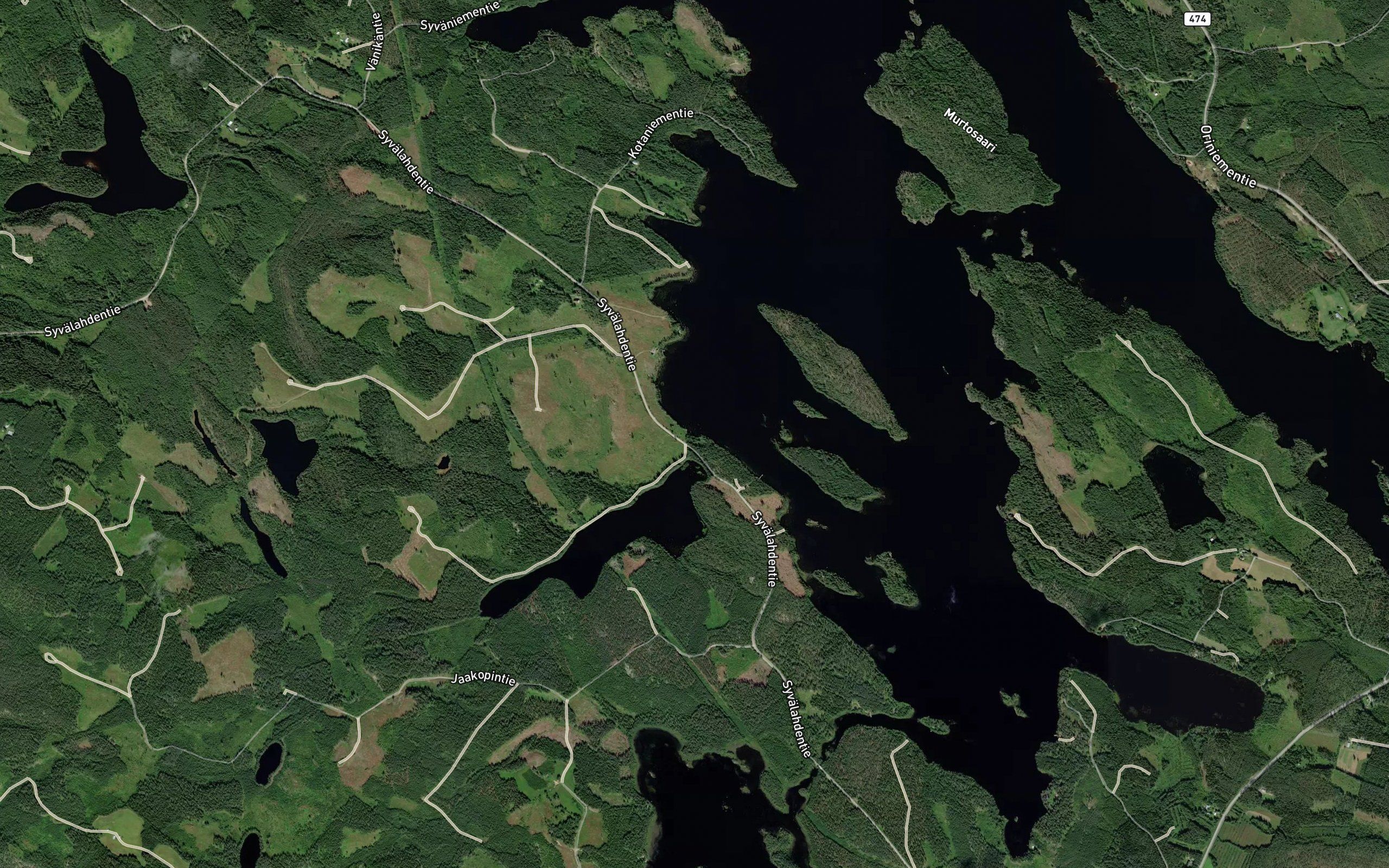 Koirinoja