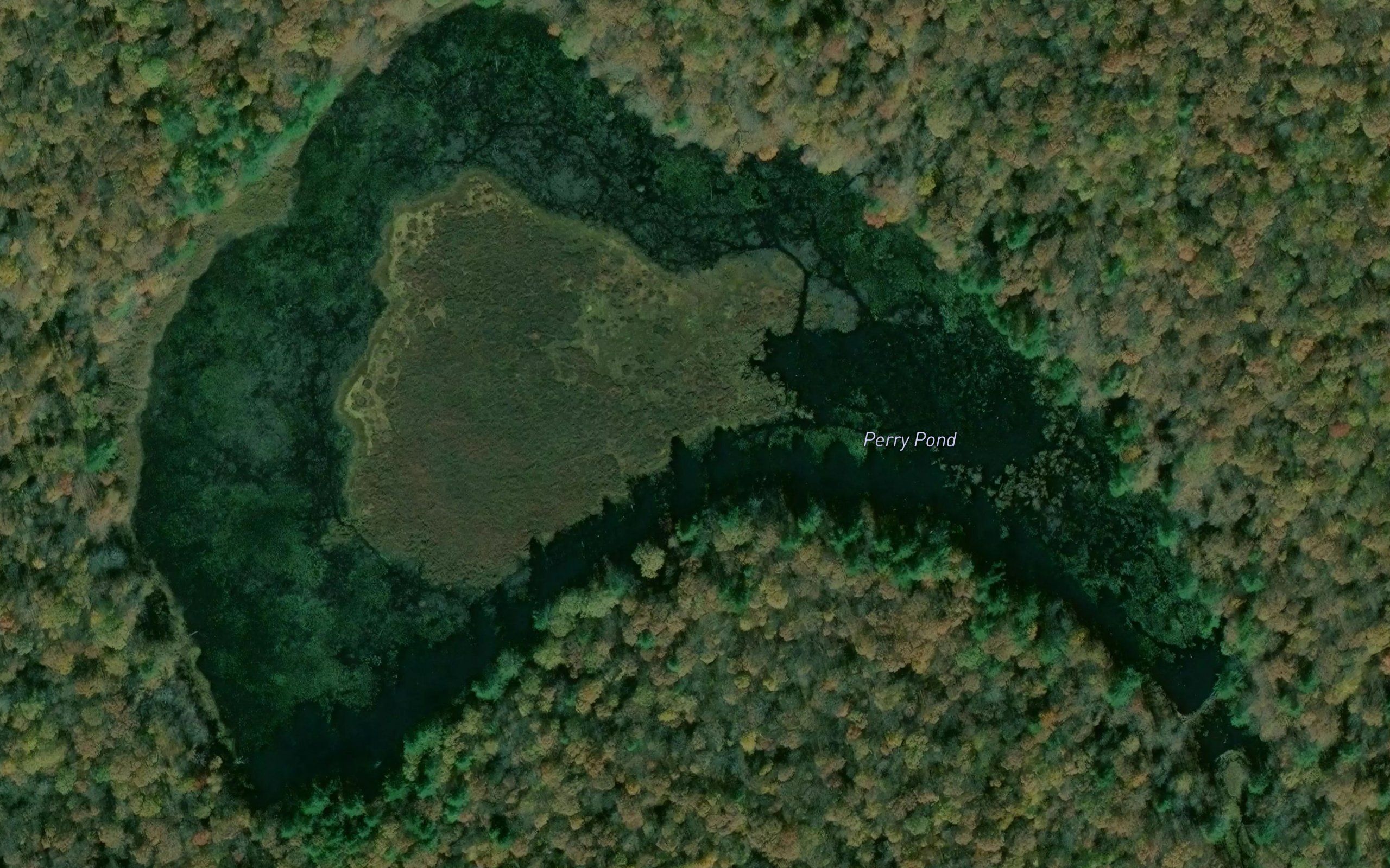 Perry Pond