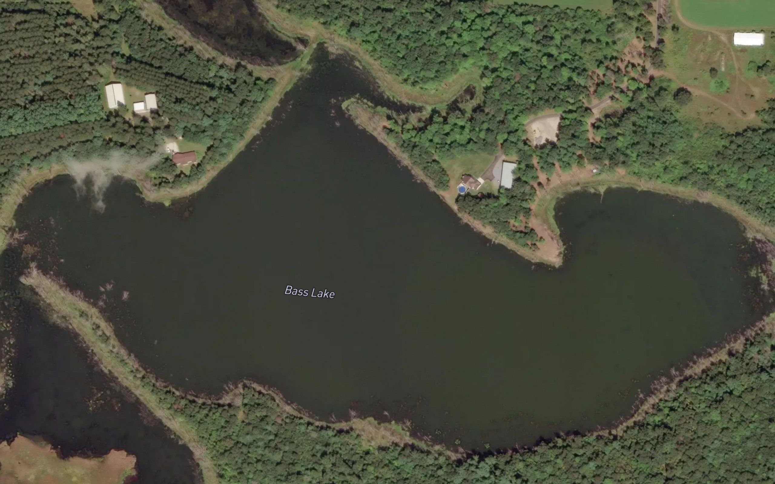 Bass Lake