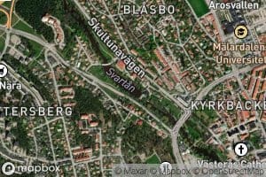 Svartan