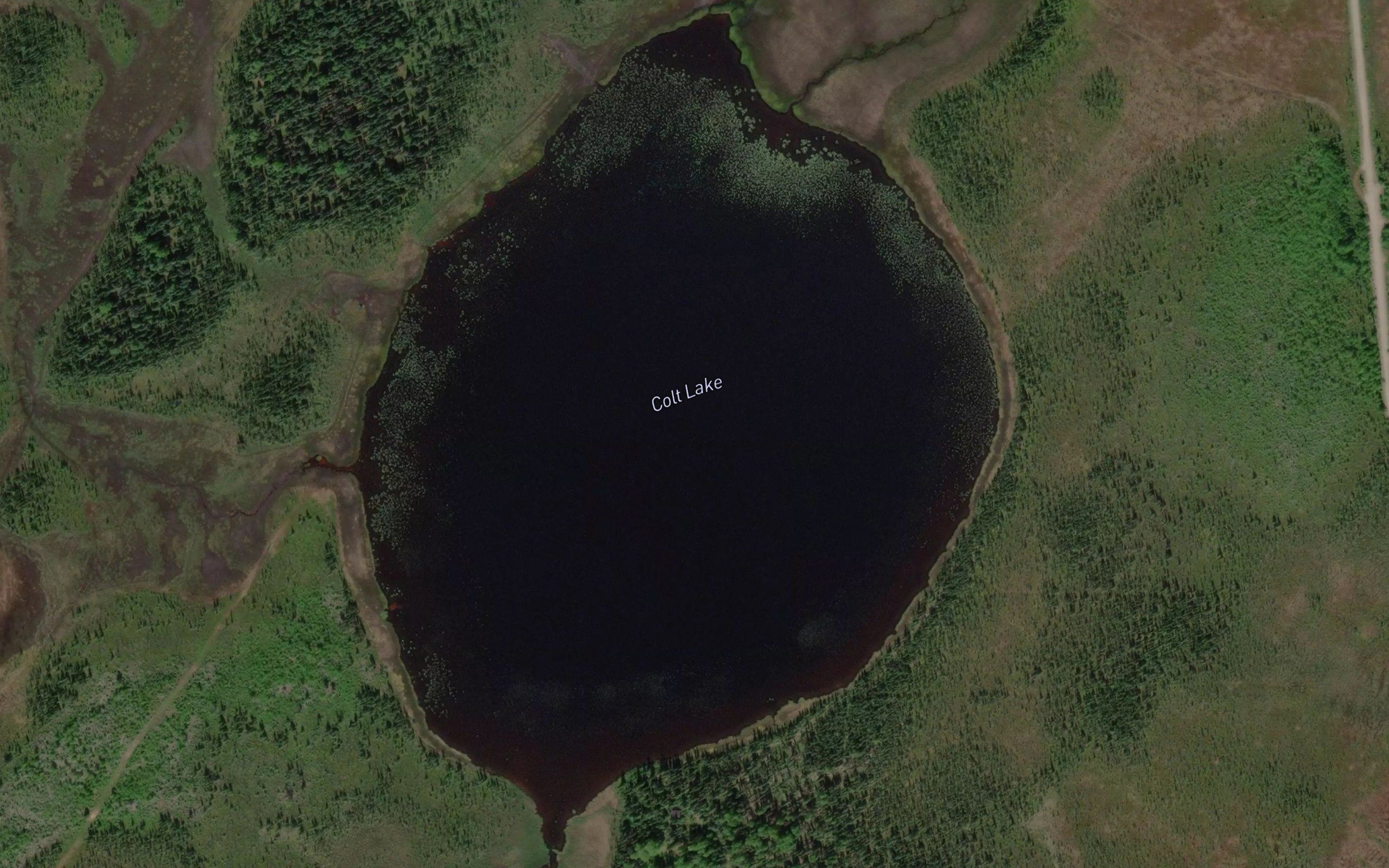 Colt Lake