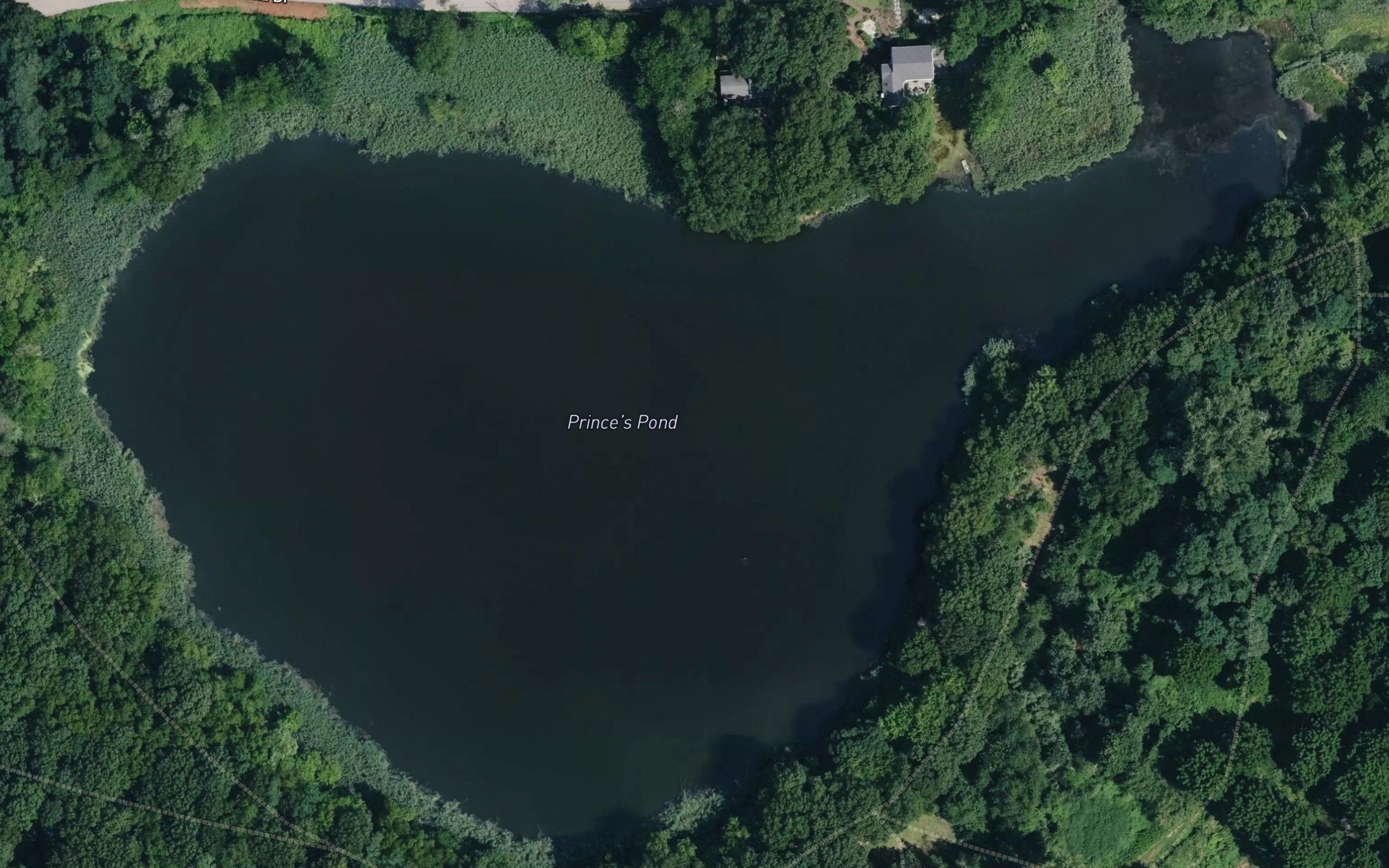 Prince Pond