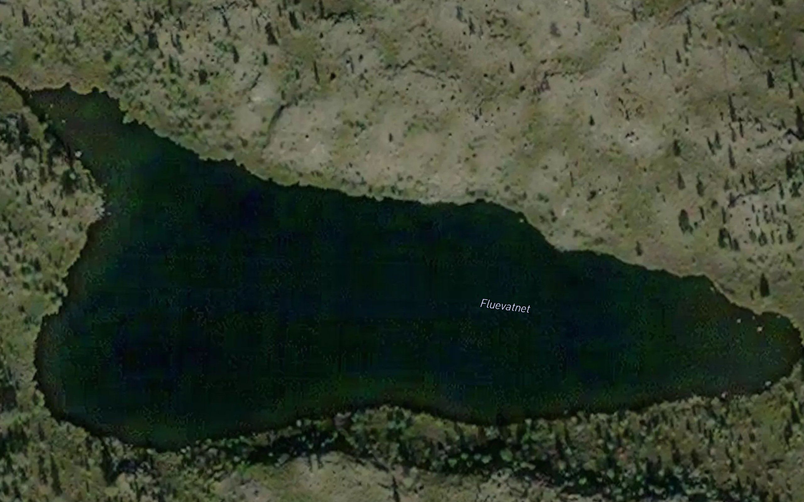 Fluetjernet