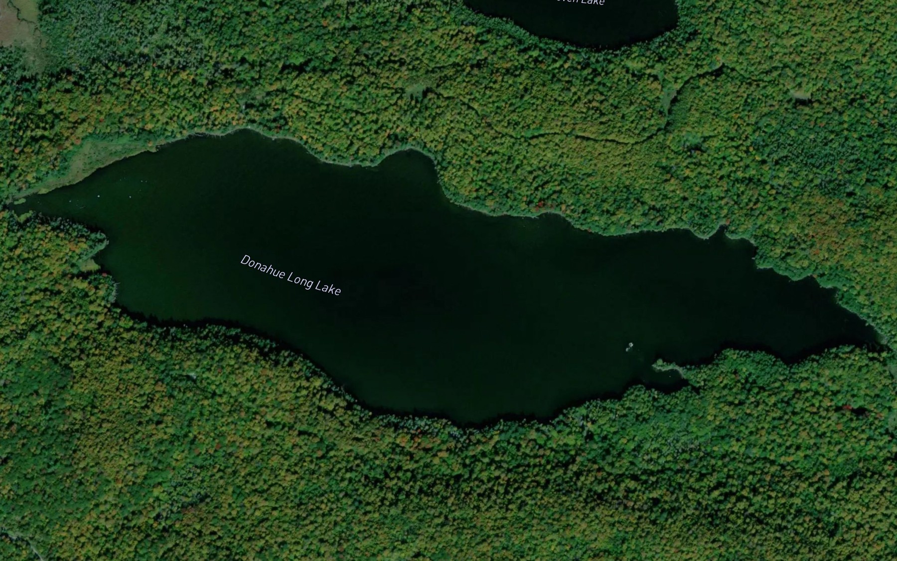 Satellite map of the Donahue Long Lake