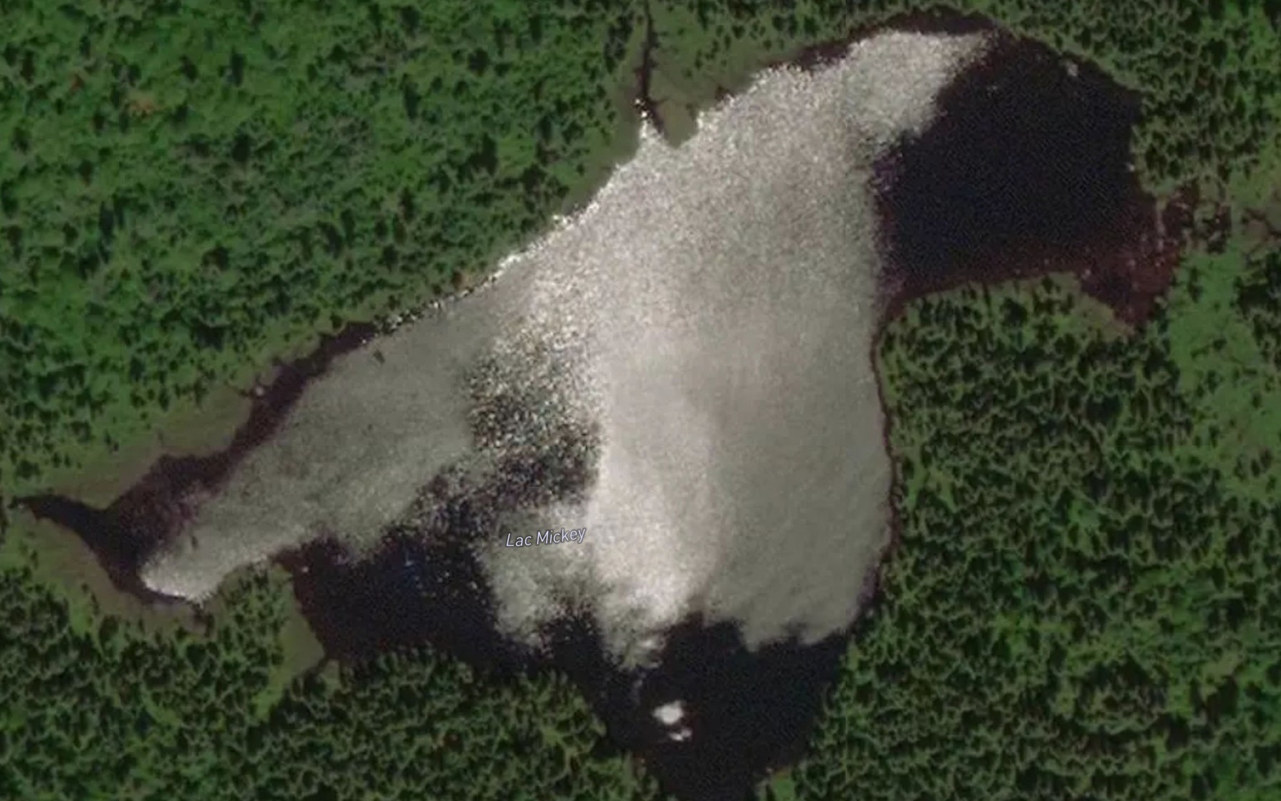 Satellite map of the Lac Mickey