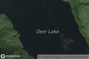 Deer Lake