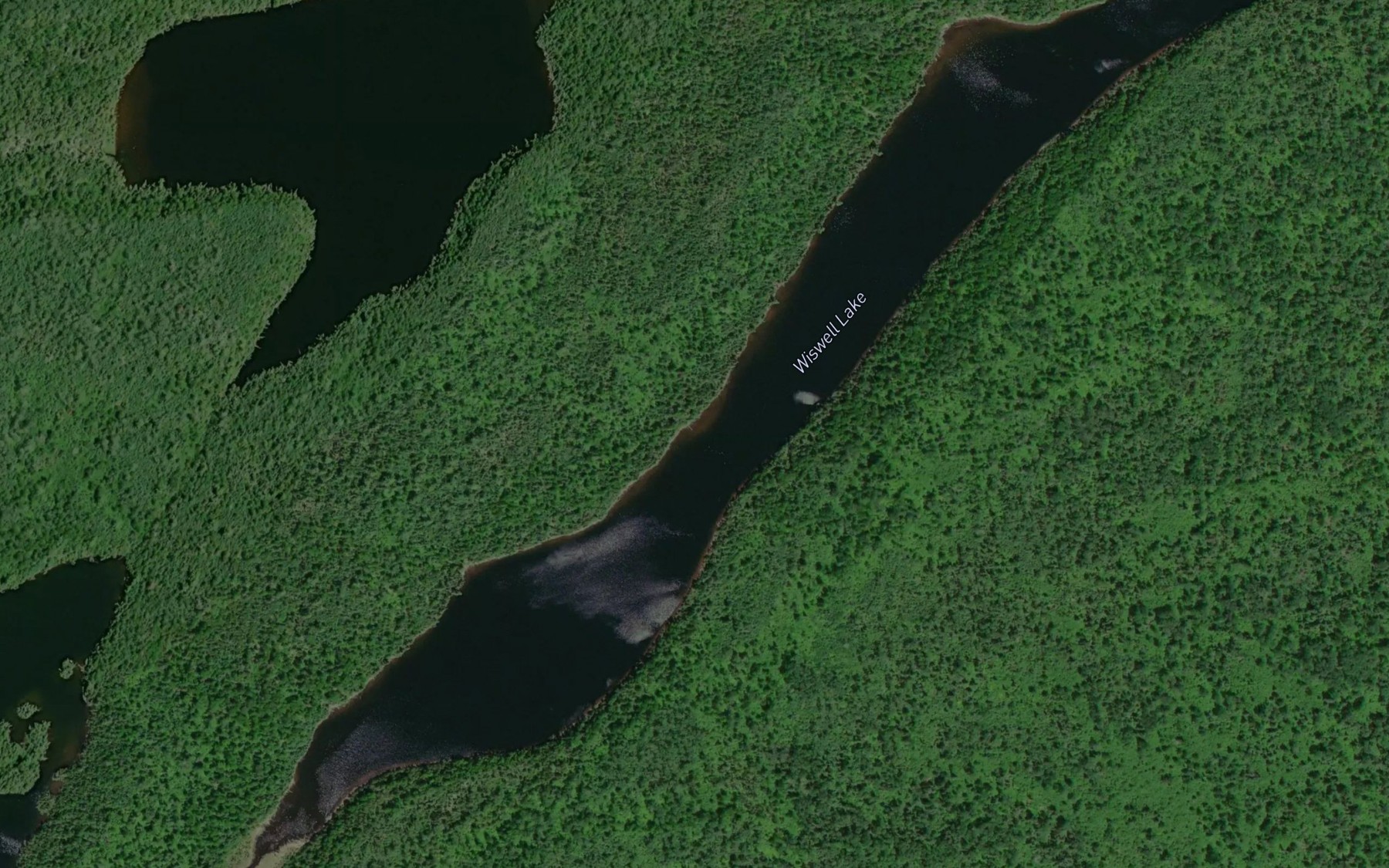 Satellite map of the Wiswell Lake