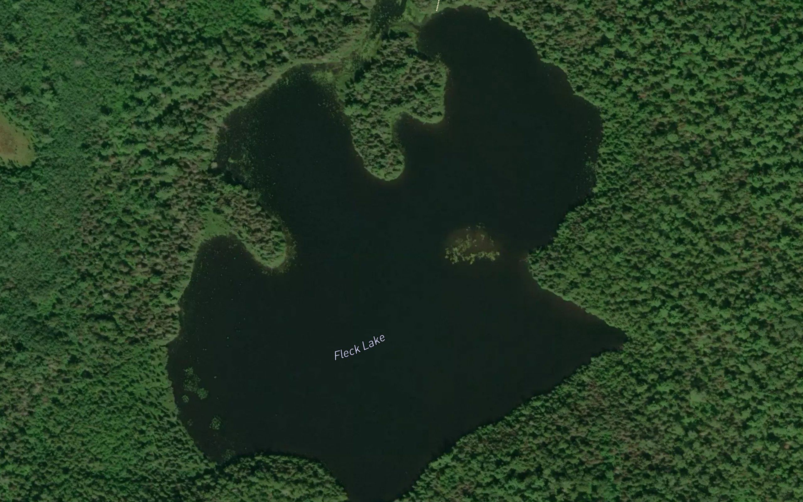 Fleck Lake
