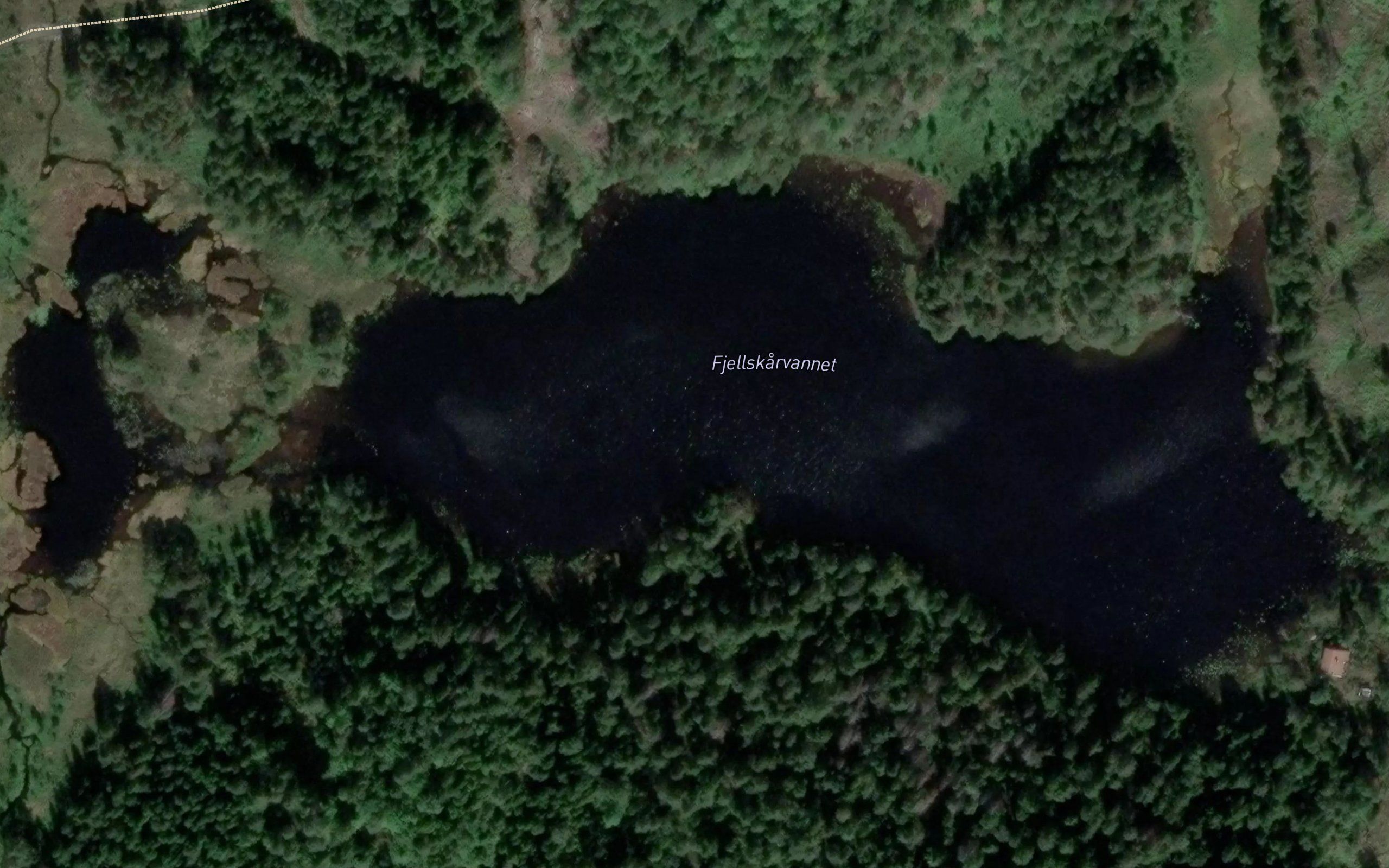 Fjellskarvannet
