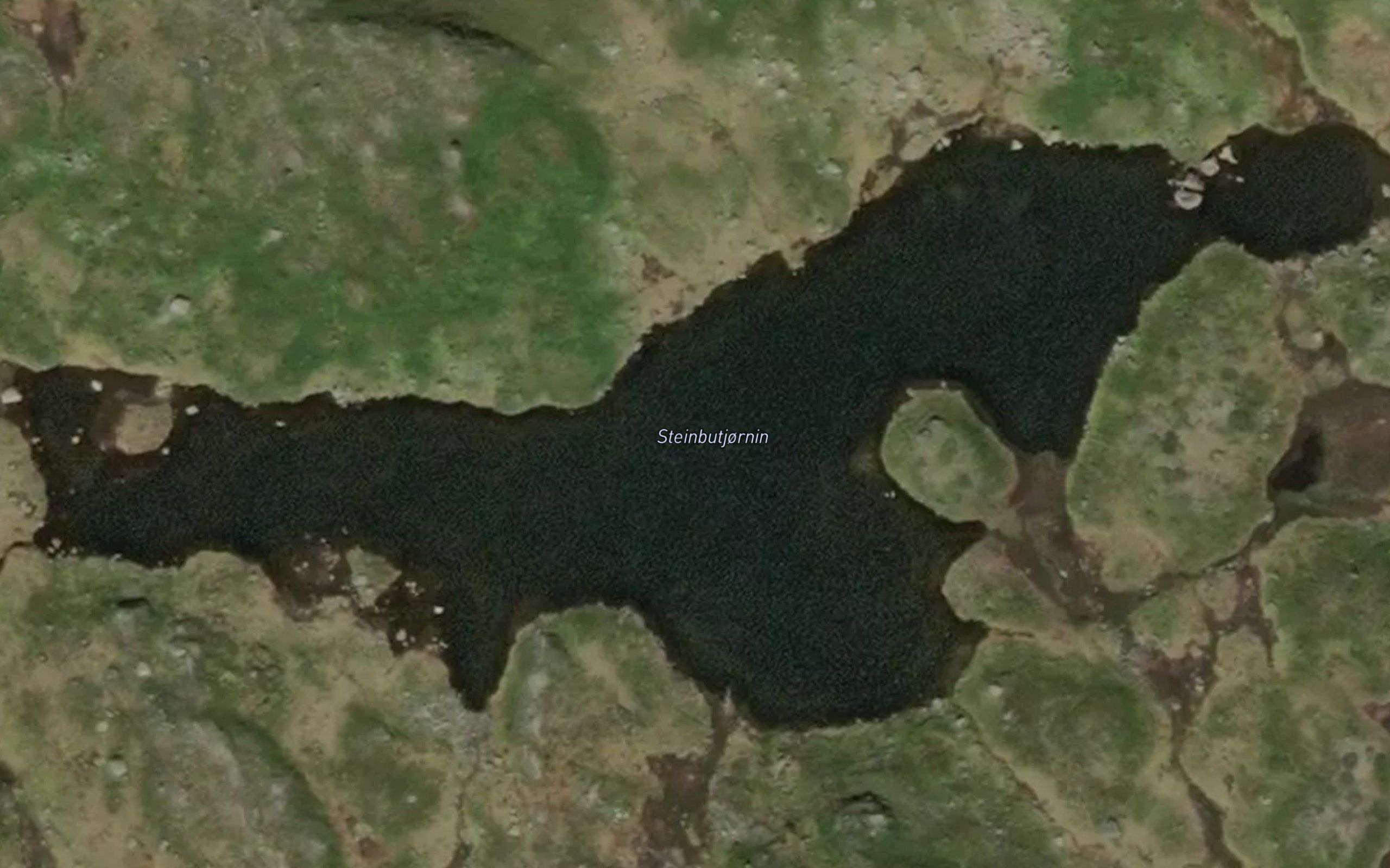 Steinbutjornin