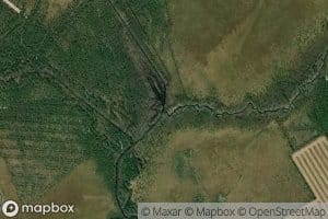 Puohtiinoja