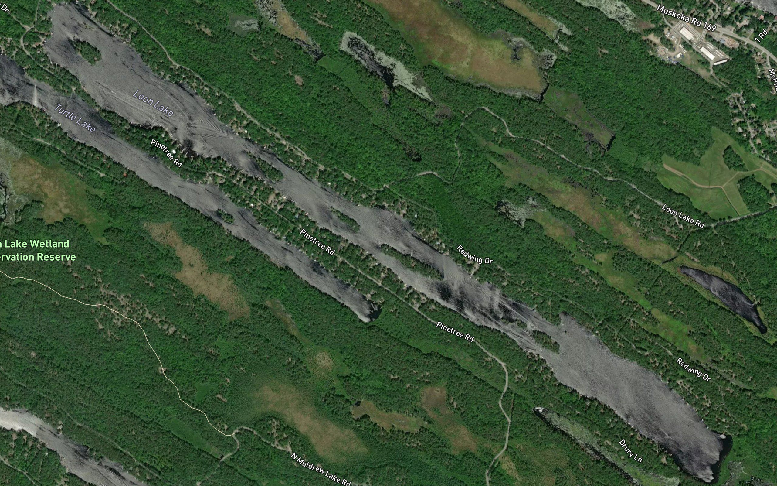 Loon Lake