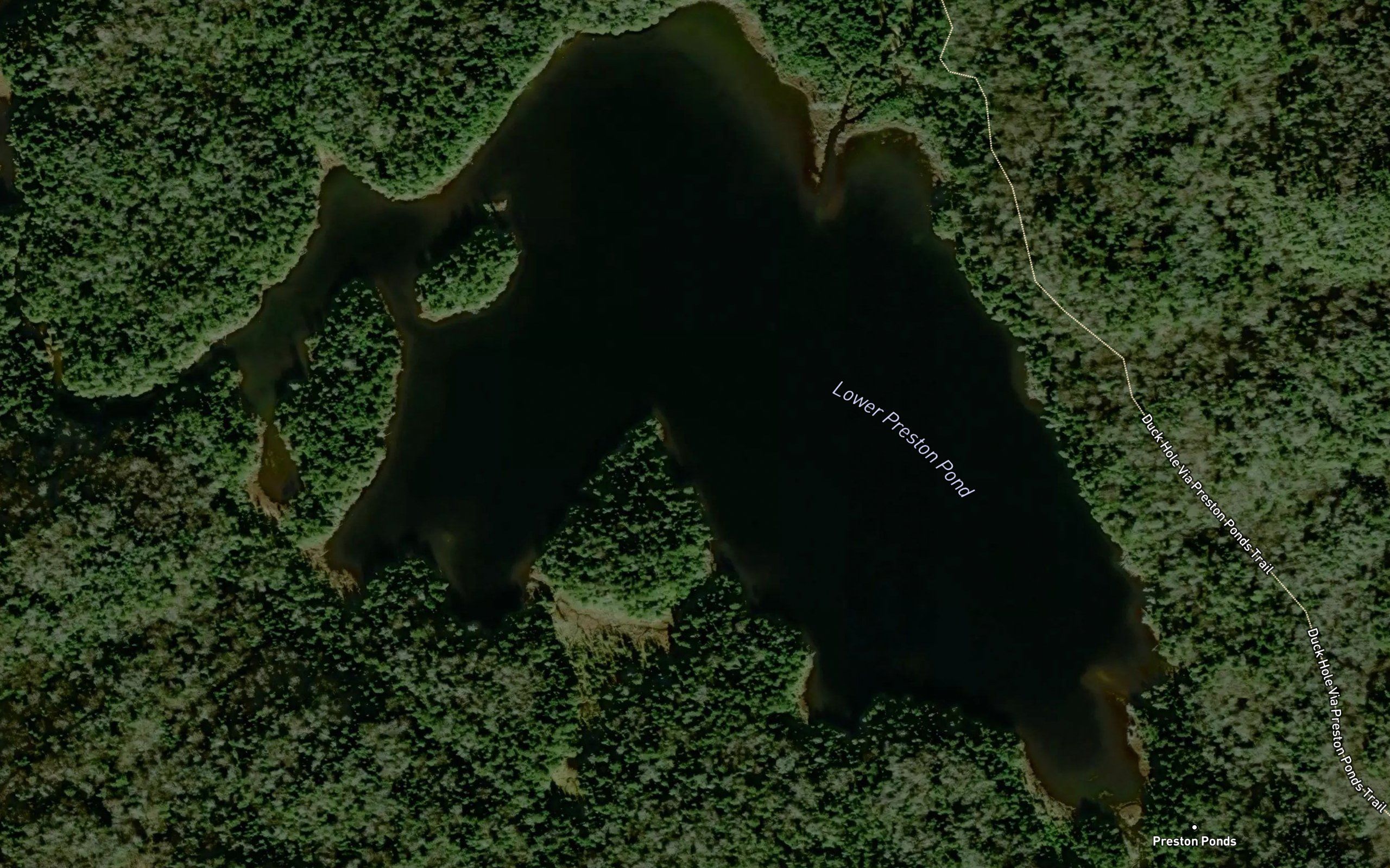 Lower Pond