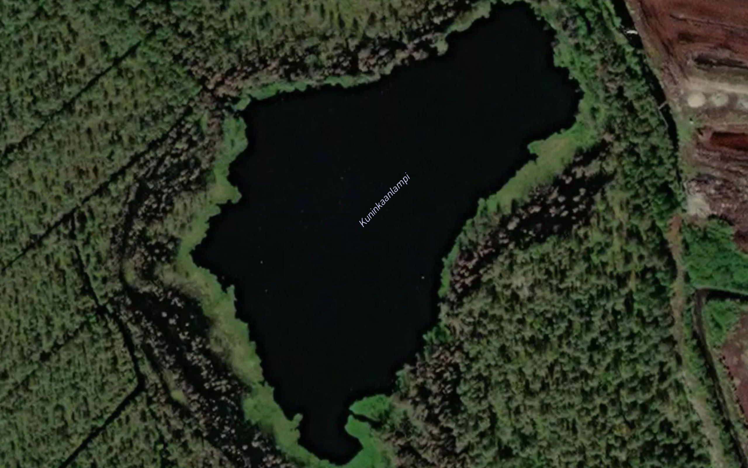 Kuninkaanlampi