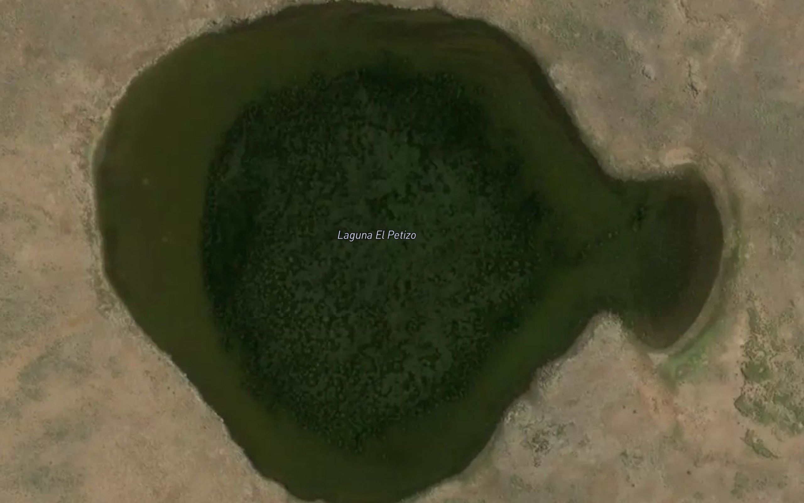 Laguna El Petiso