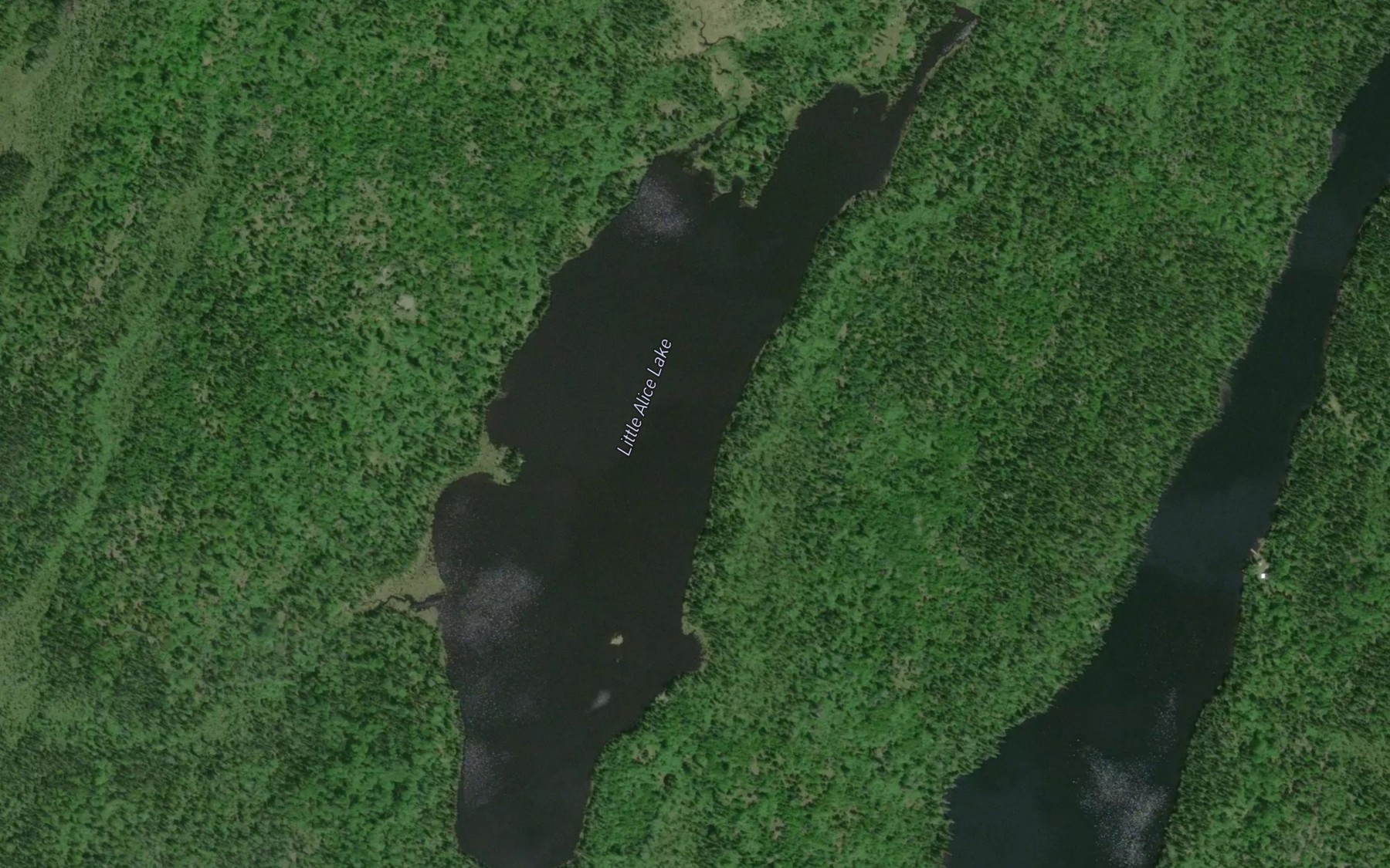 Satellite map of the Little Alice Lake