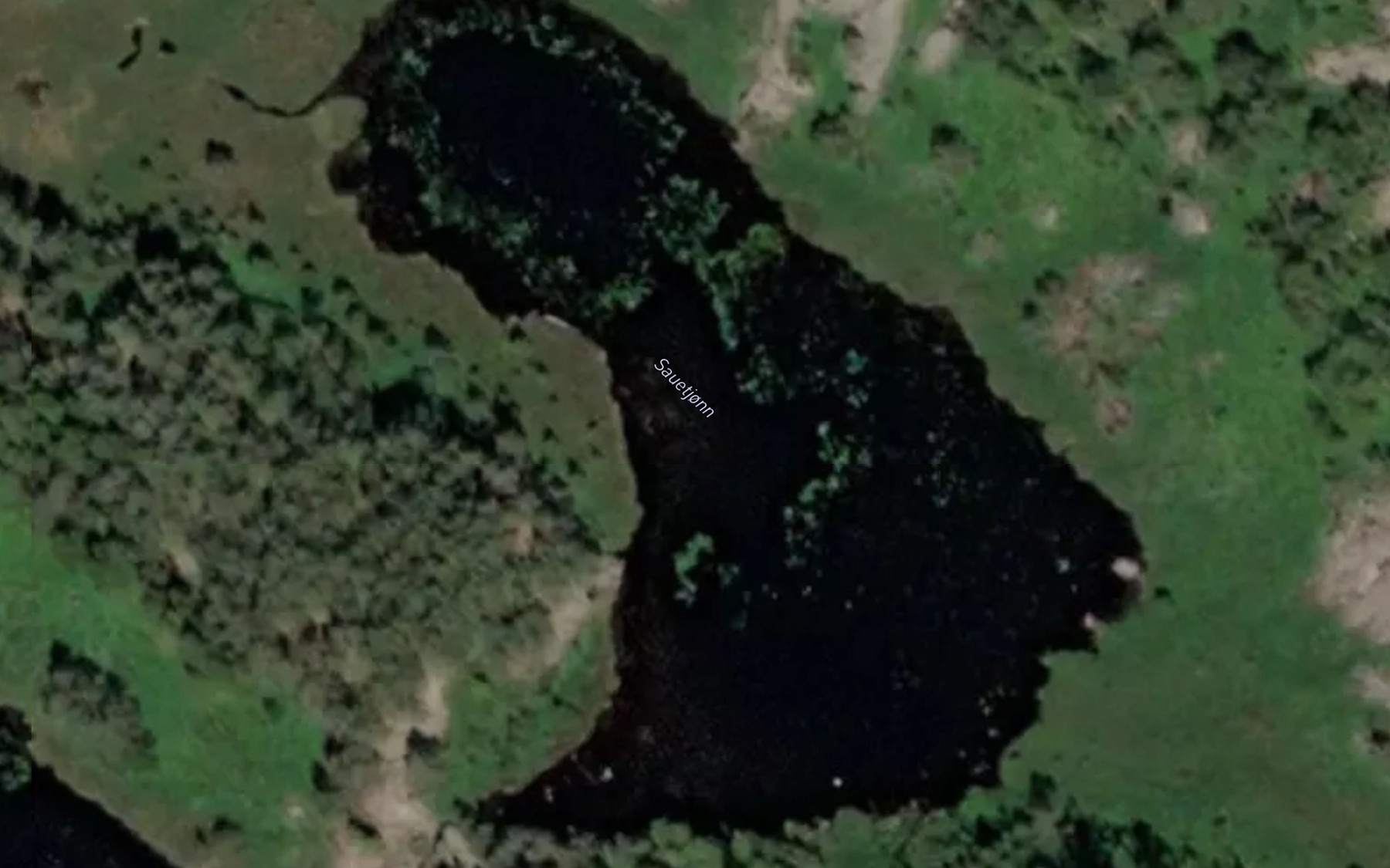 Satellite map of the Sauetjonn