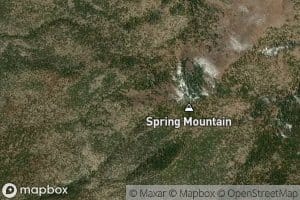 Spring Mountain Spring