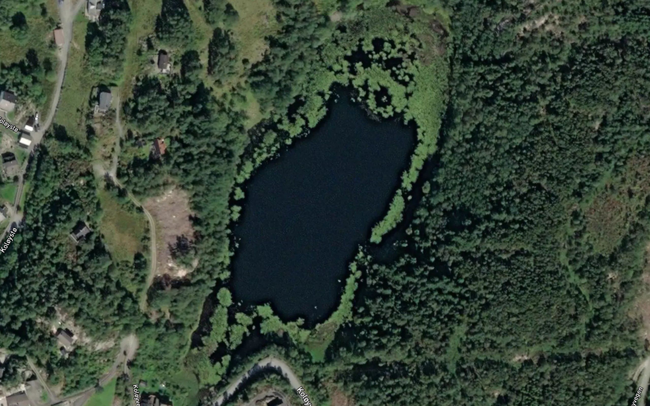 Risdalstjorna