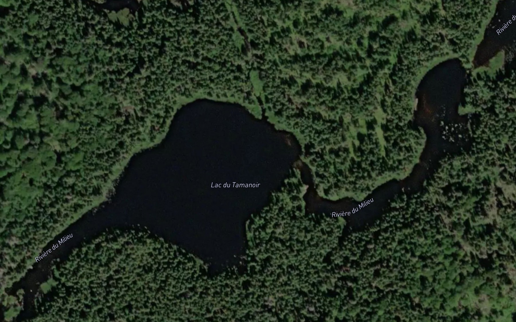 Satellite map of the Lac du Tamanoir