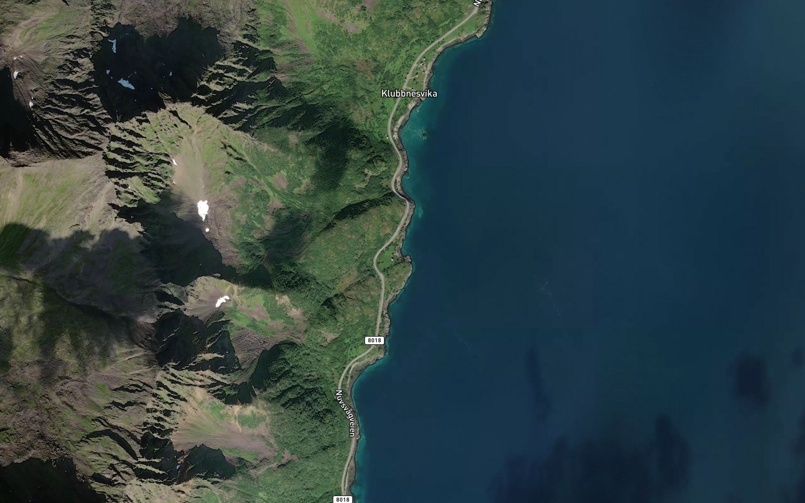 Vengelvika