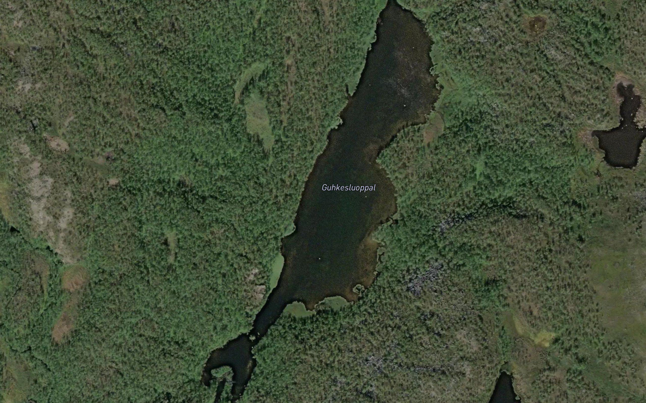 Gukkesluobbal