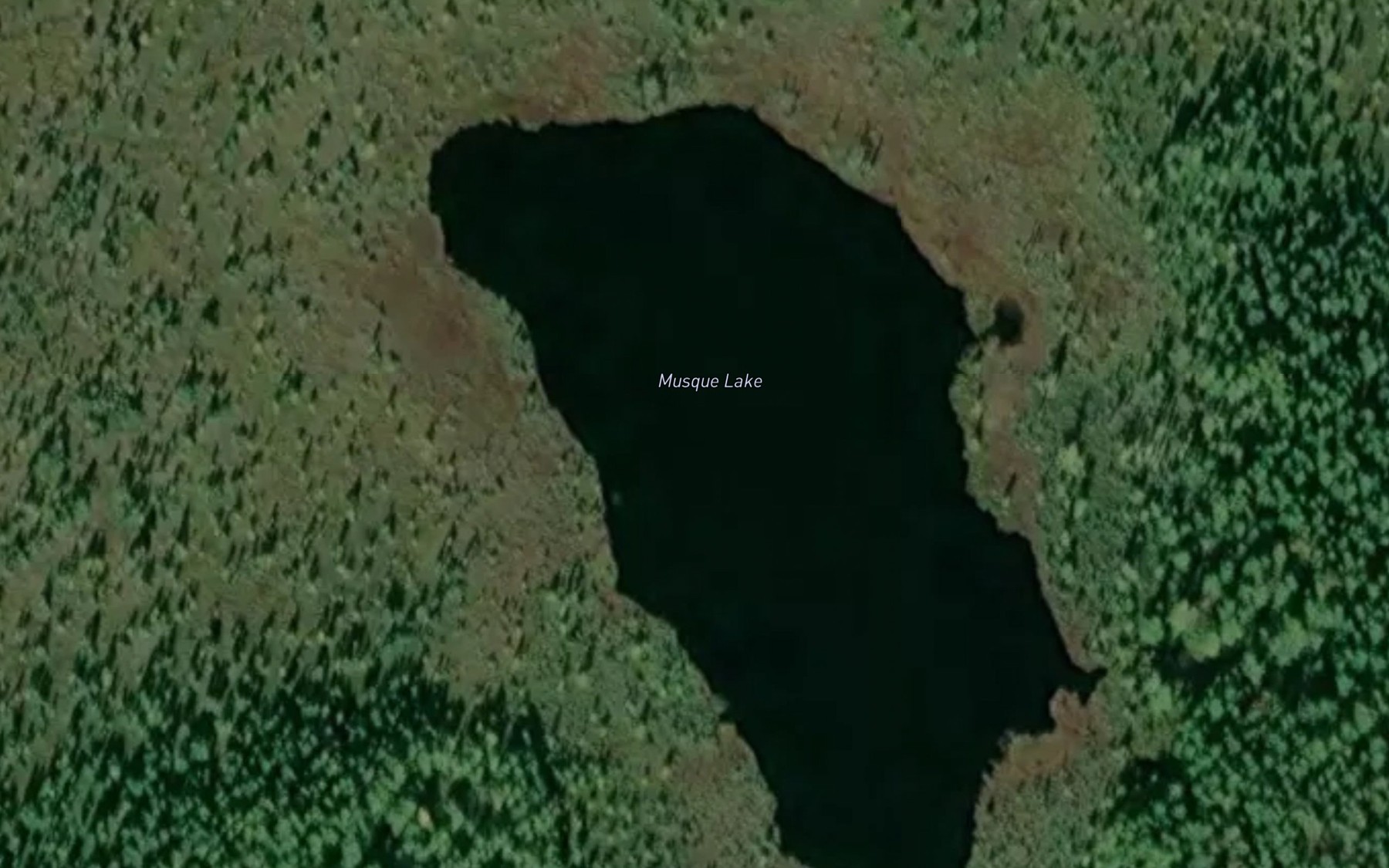Satellite map of the Musque Lake