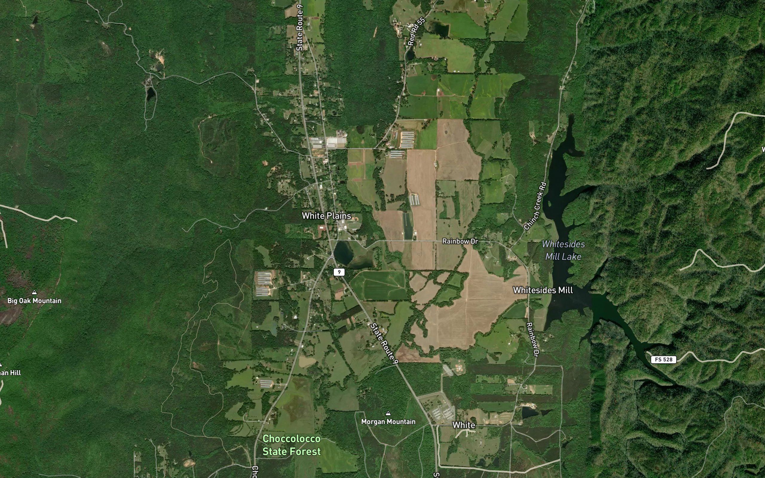 East Cottaquilla Springs