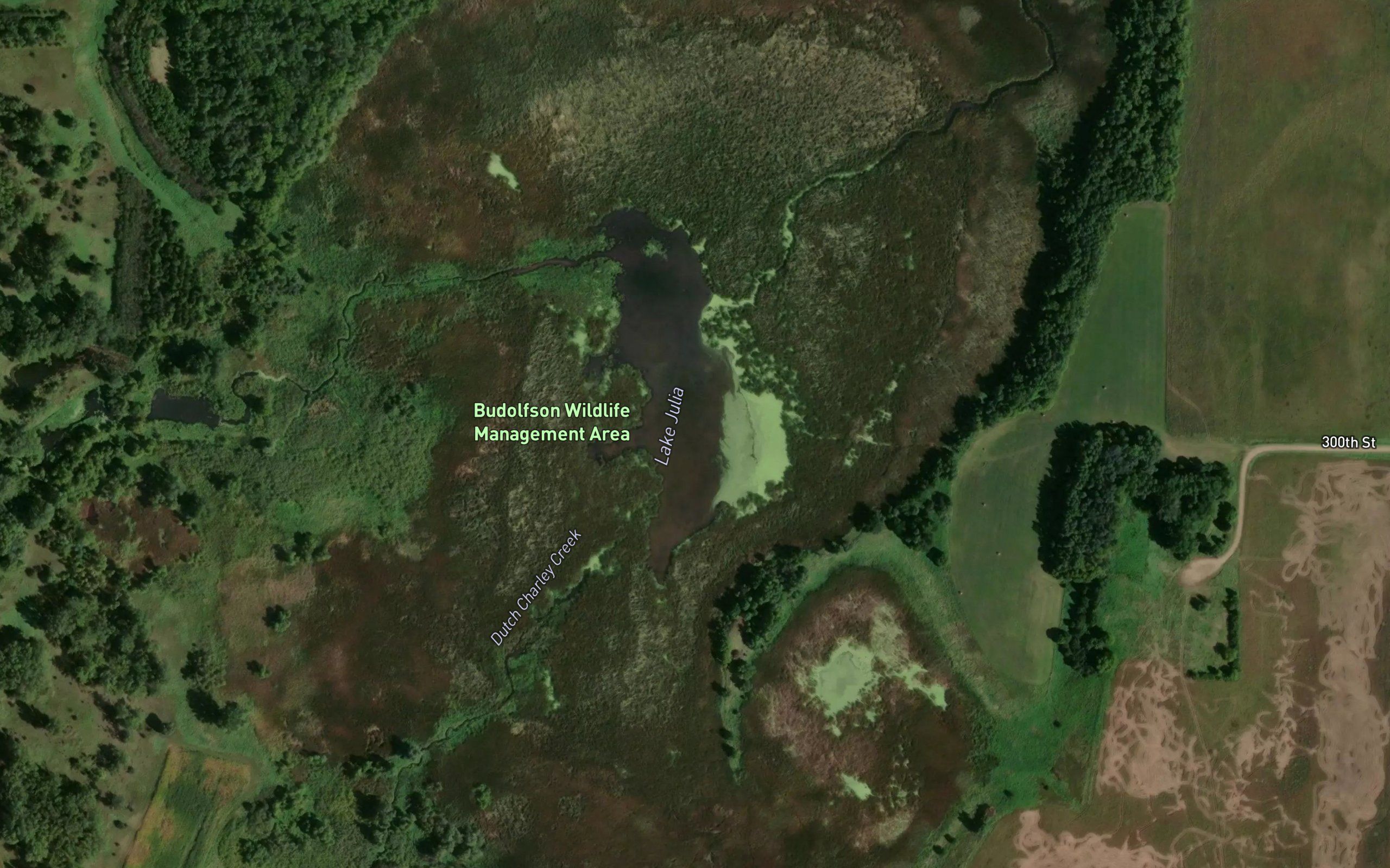 Lake Julia