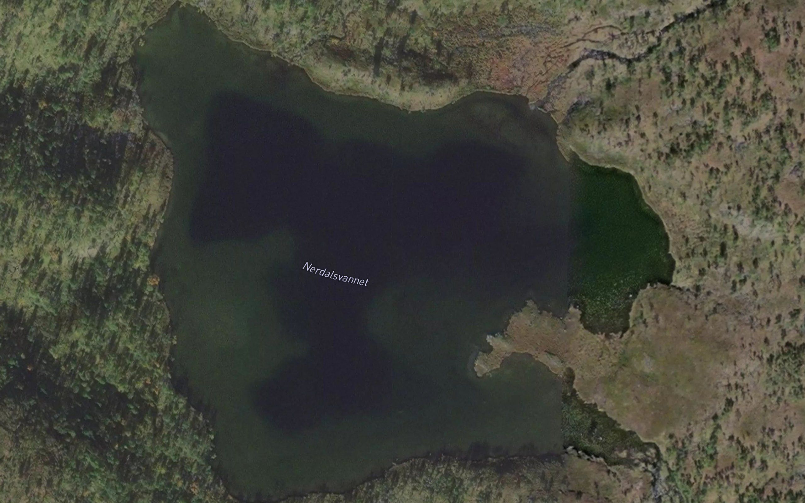 Nerdalsvatnet