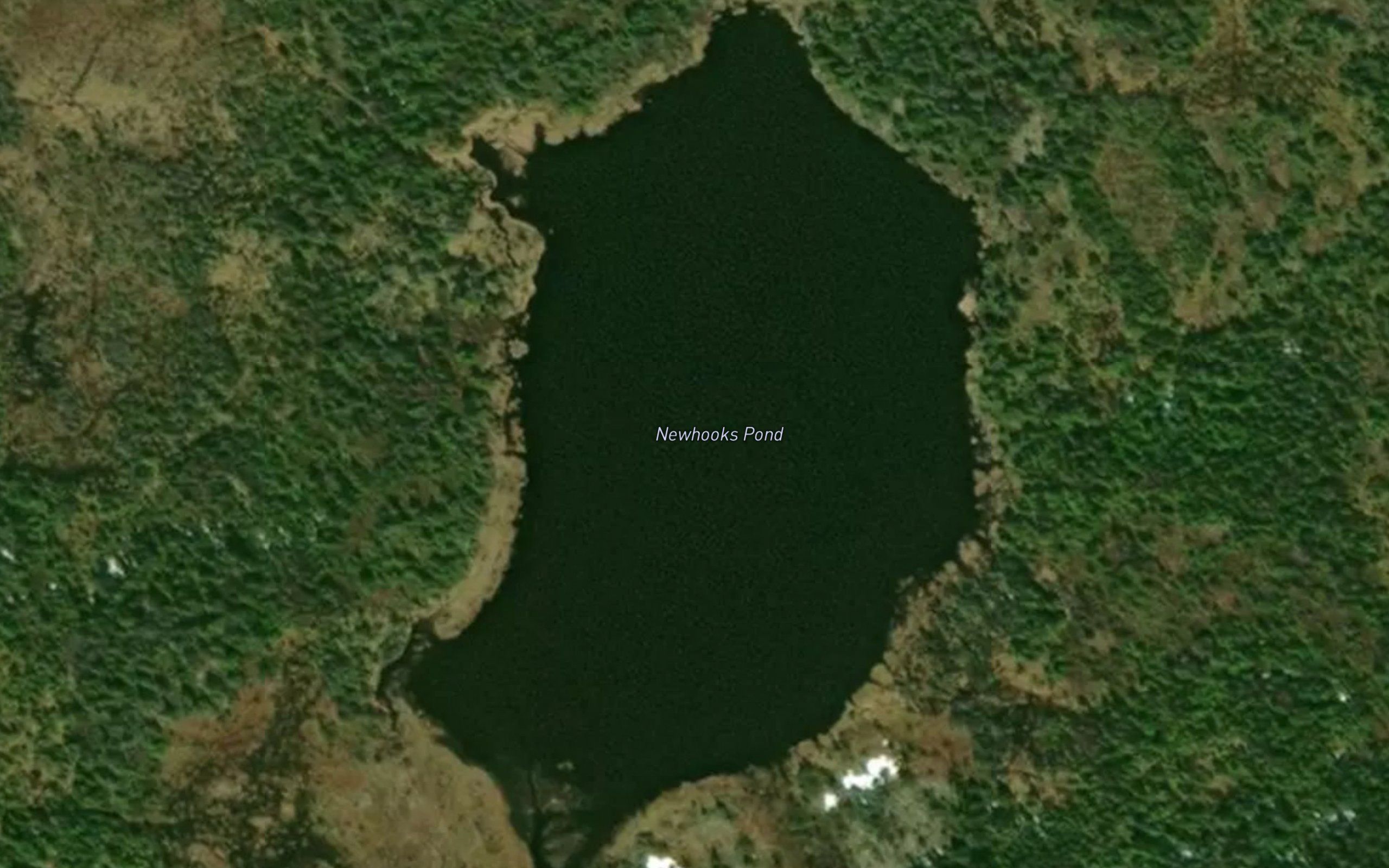Newhooks Pond