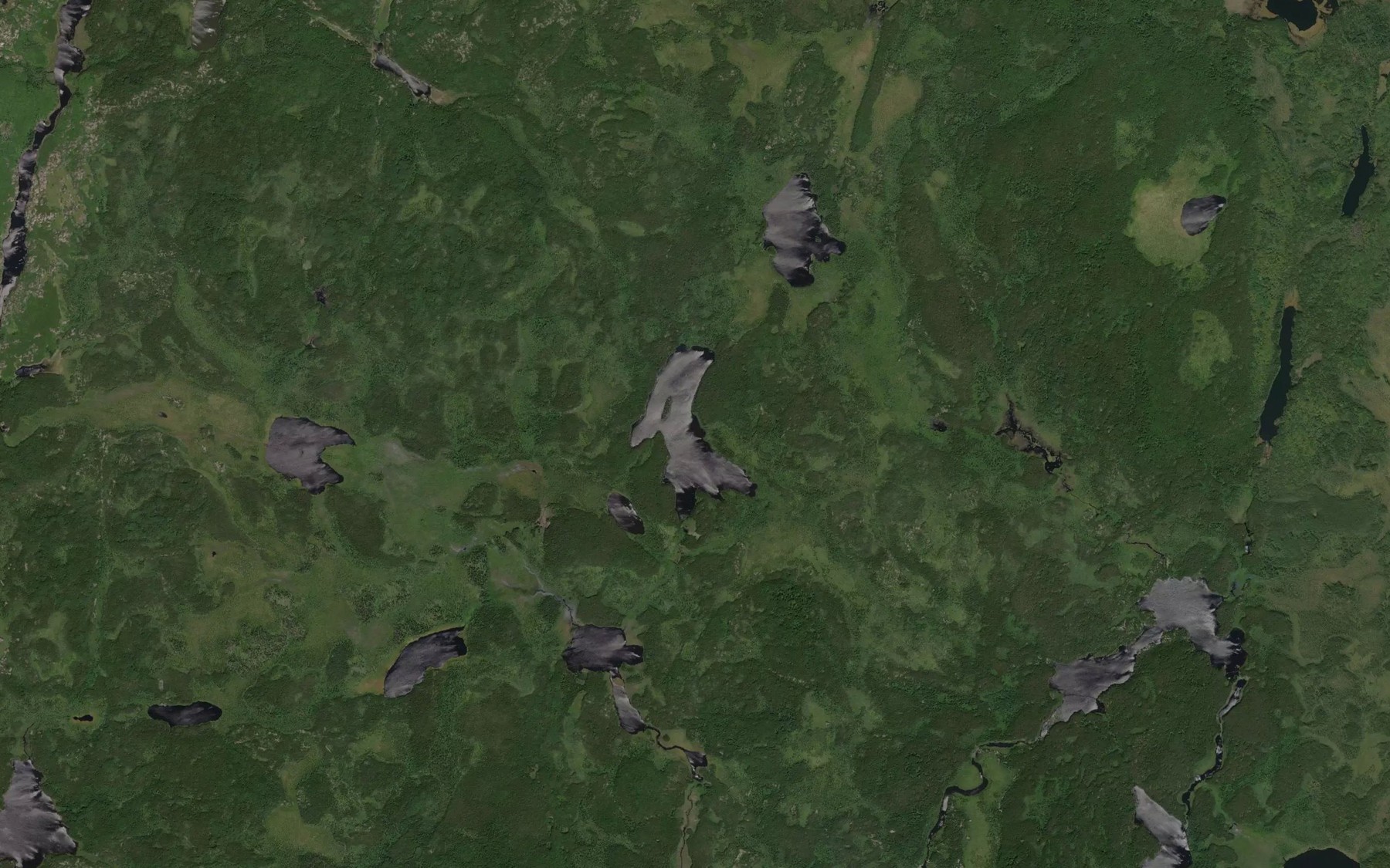 Satellite map of the Pedwell Lake