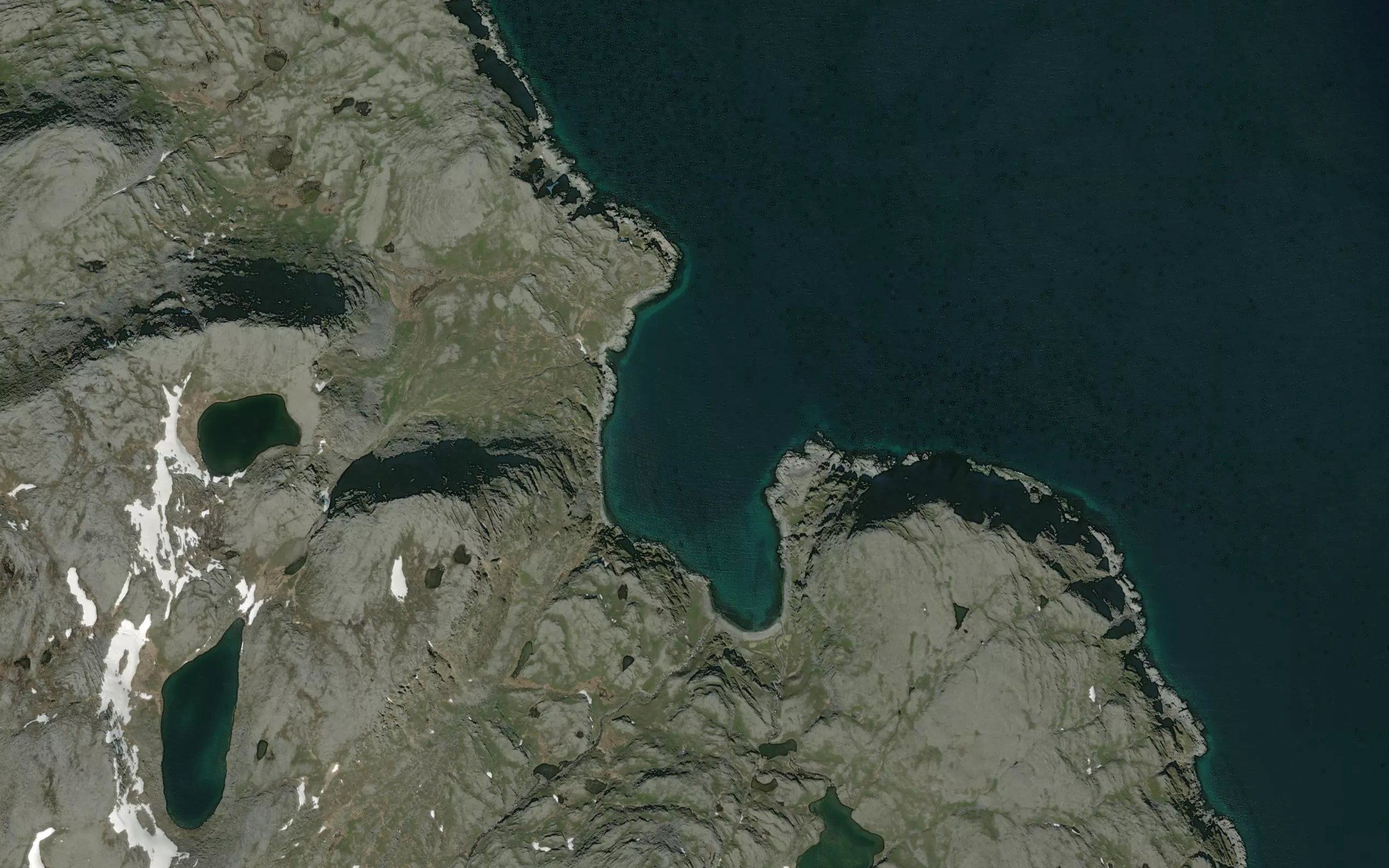 Rekvika
