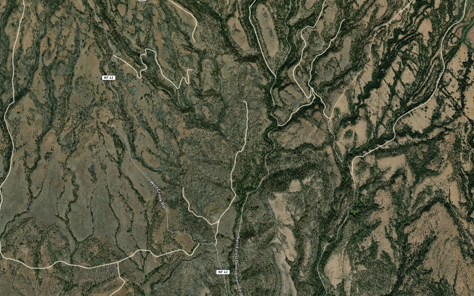 Satellite map of the Board Tree Spring