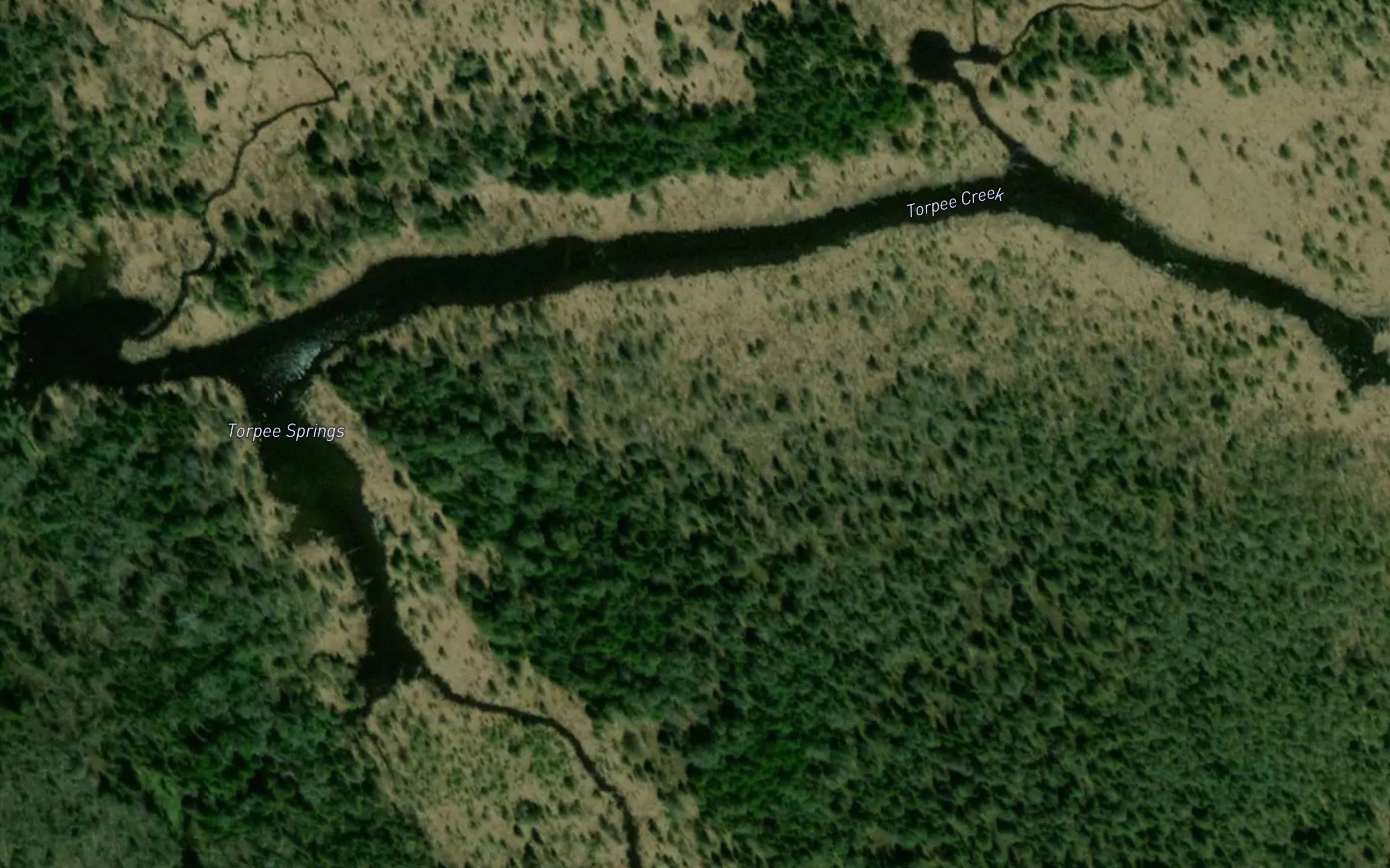 Torpee Springs