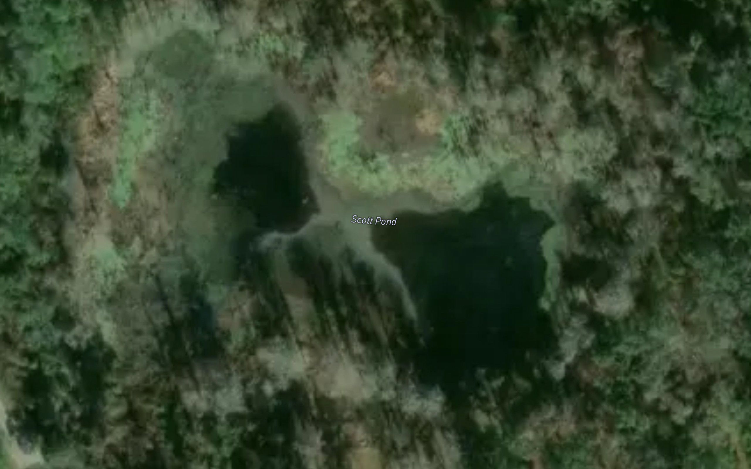 Scott Pond